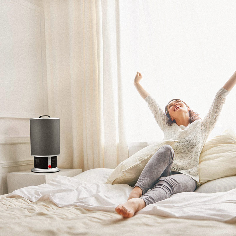 Lux Luftreiniger, Lux Aeroguard