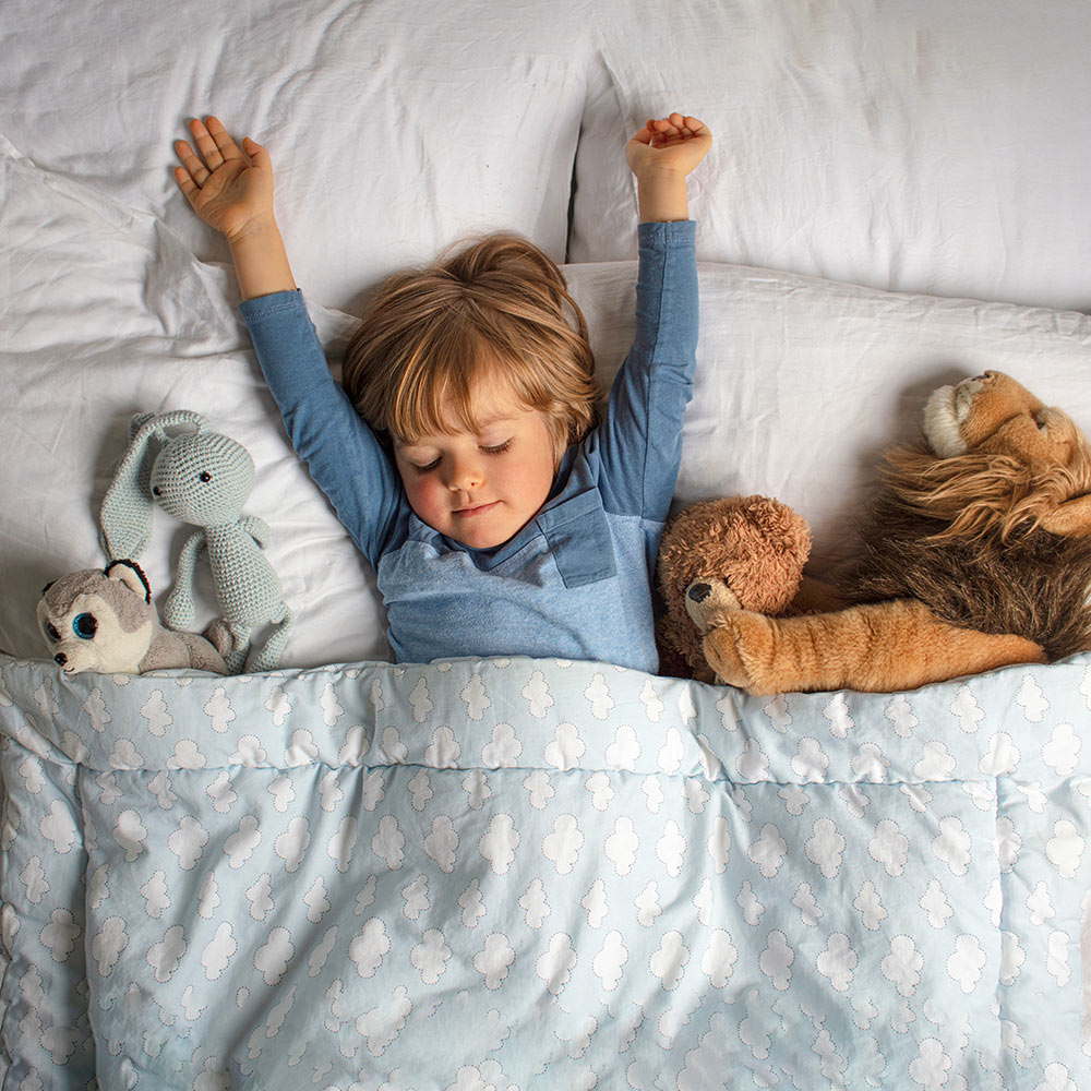 Lux Schlafsysteme, Matratzen, Kissen